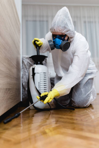 Best Indoor Pest Control  in Bridgeport, OH